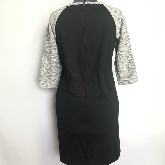 LOFT | Shift Dress Quarter Sleeve | Size: 6 - Picture 3 of 6
